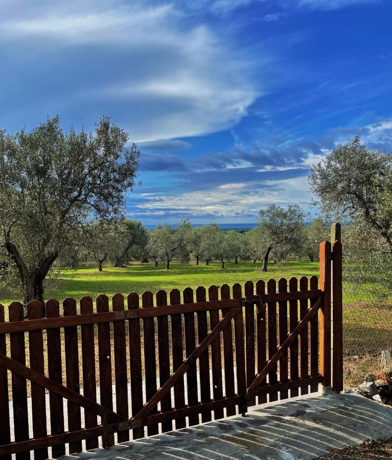 Agriturismo Podere Campalto Campiglia Marittima Kültér fotó