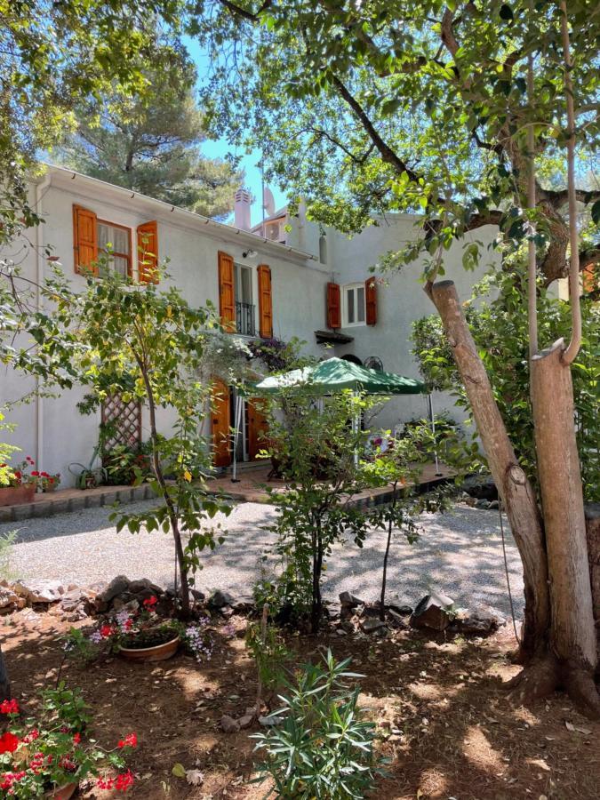 Agriturismo Podere Campalto Campiglia Marittima Kültér fotó