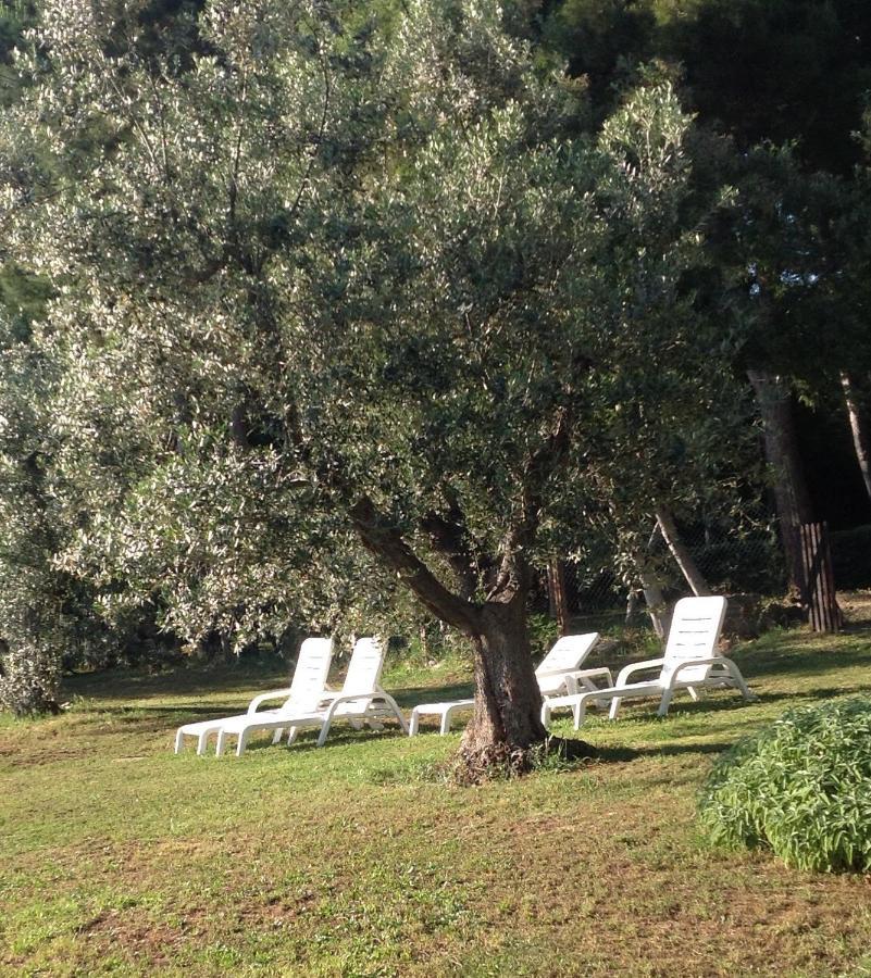 Agriturismo Podere Campalto Campiglia Marittima Kültér fotó