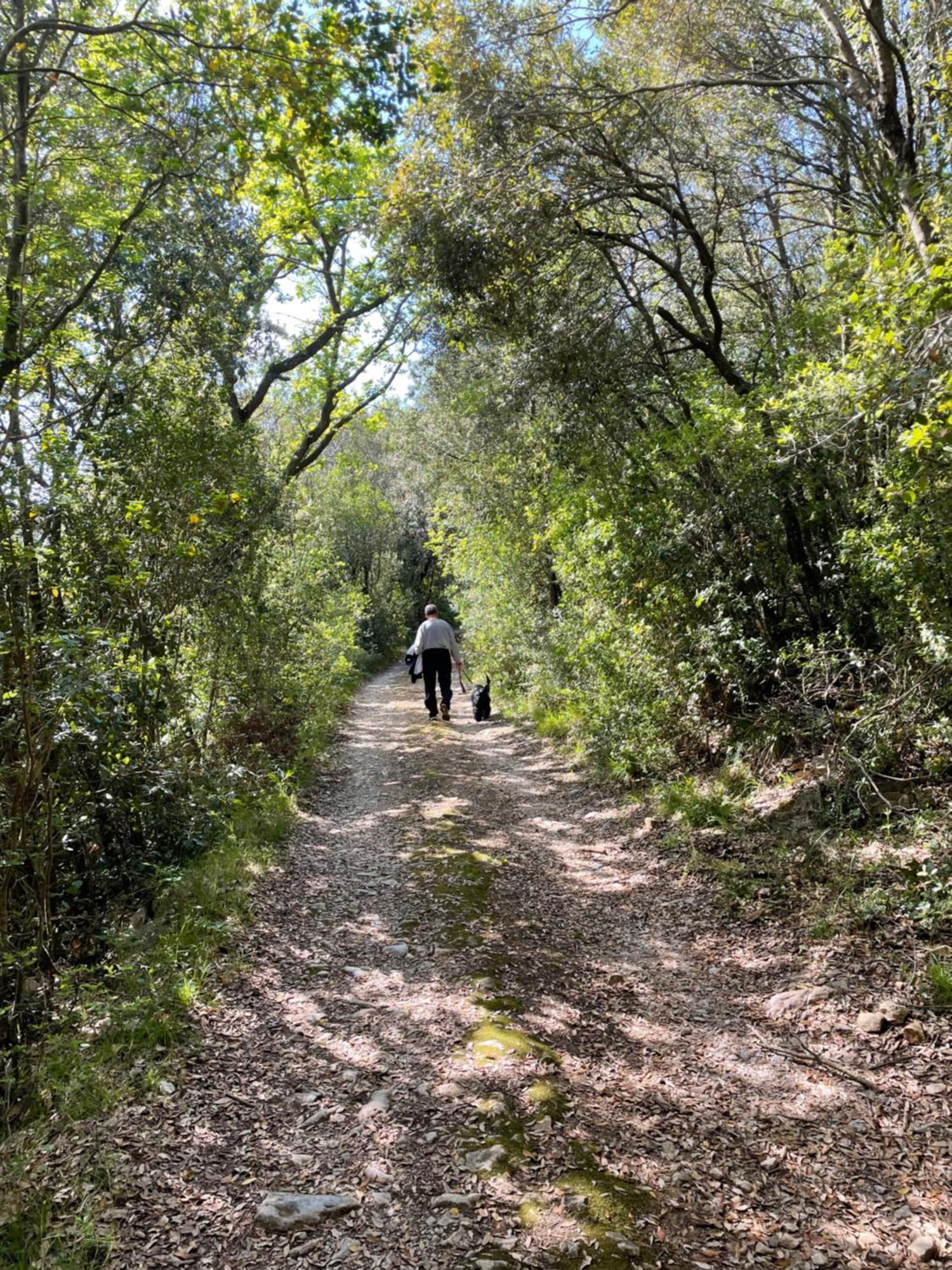 Agriturismo Podere Campalto Campiglia Marittima Kültér fotó