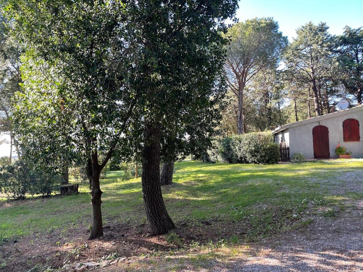 Agriturismo Podere Campalto Campiglia Marittima Kültér fotó