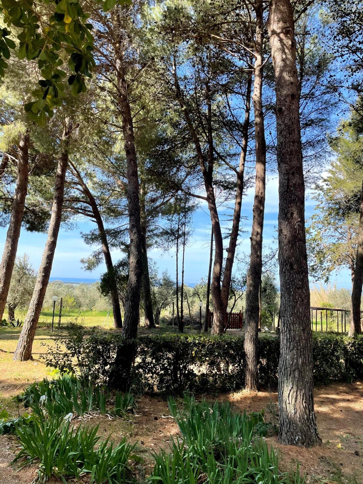 Agriturismo Podere Campalto Campiglia Marittima Kültér fotó