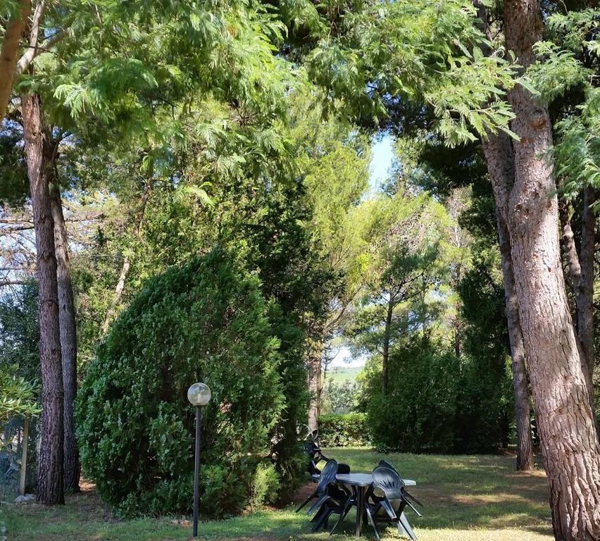 Agriturismo Podere Campalto Campiglia Marittima Kültér fotó