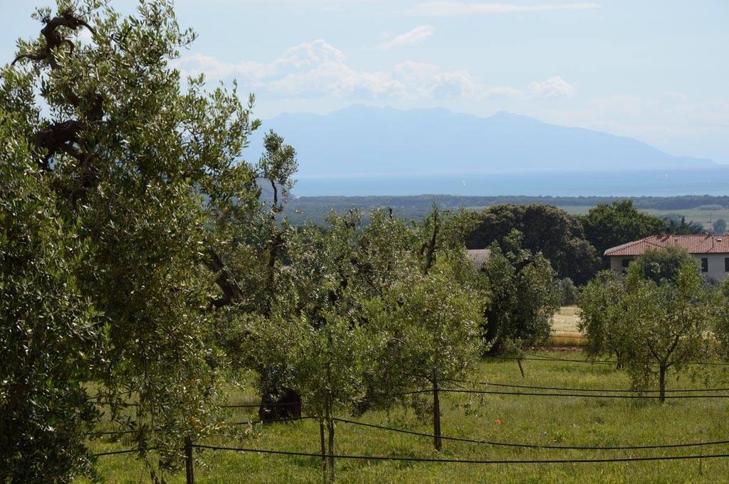 Agriturismo Podere Campalto Campiglia Marittima Kültér fotó