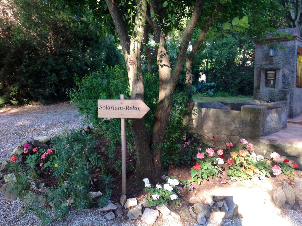 Agriturismo Podere Campalto Campiglia Marittima Kültér fotó