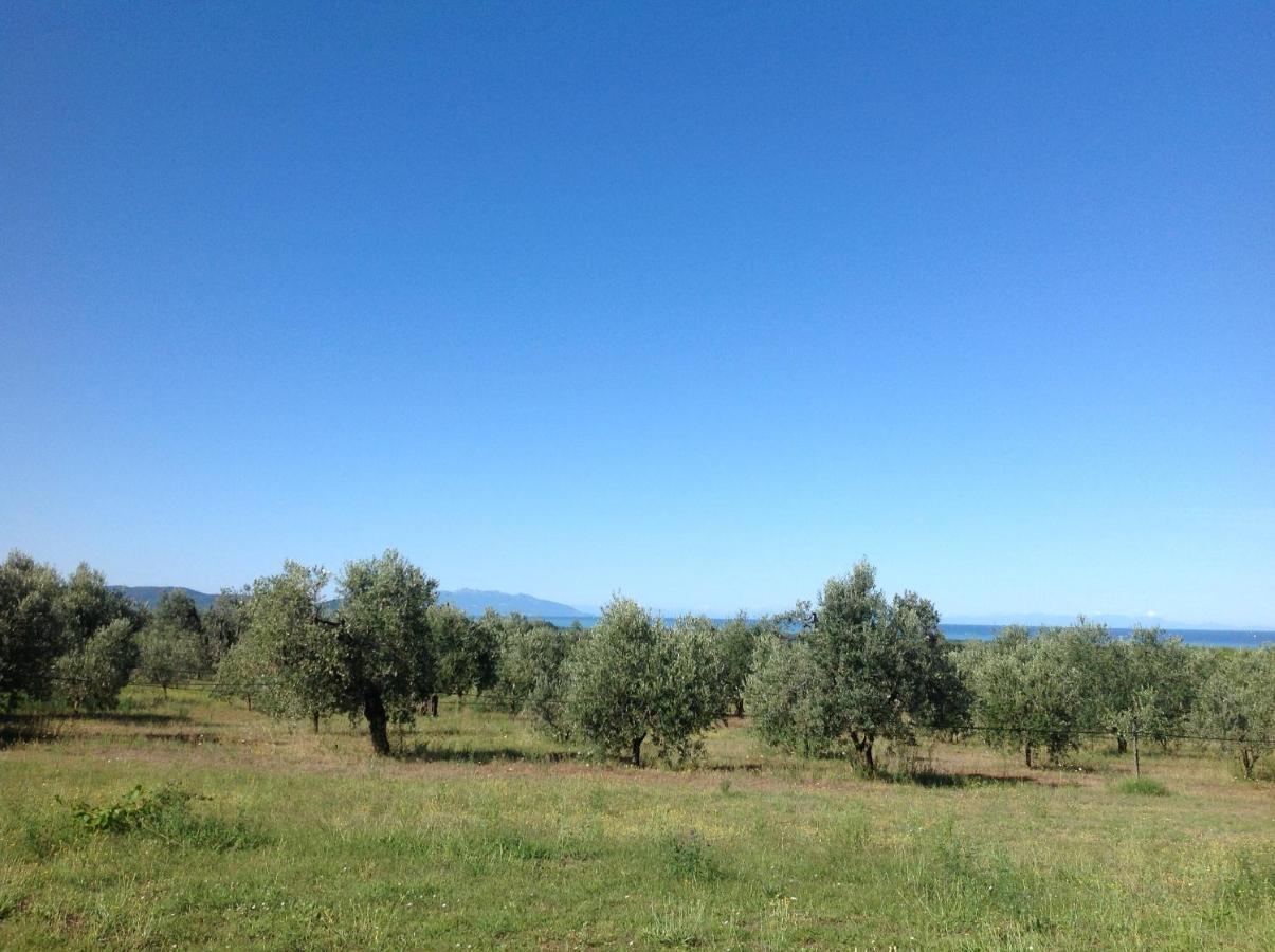 Agriturismo Podere Campalto Campiglia Marittima Kültér fotó